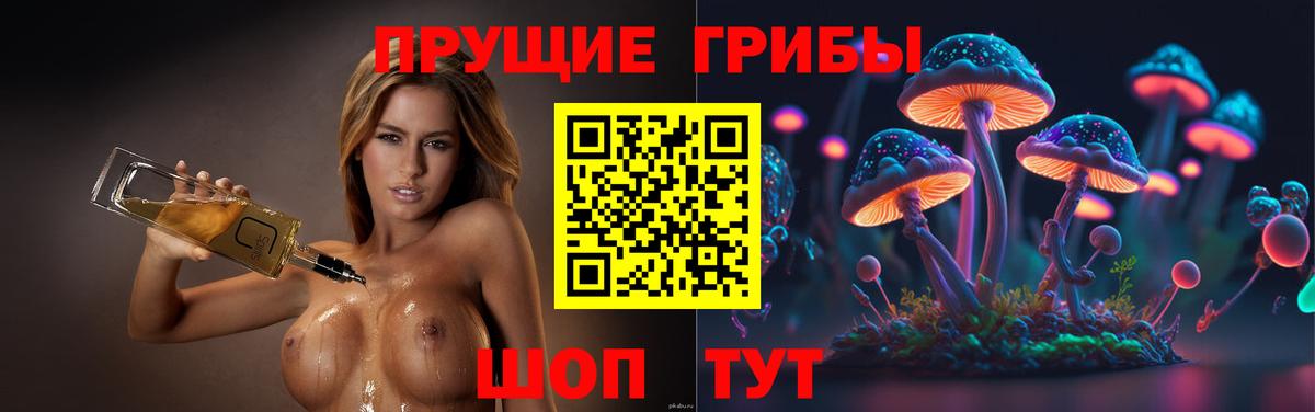 Галлюциногенные грибы Psilocybine cubensis Магадан